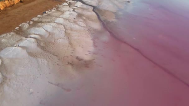 Drone flight over red clay coast of pink lake with salt deposits — Stock Video