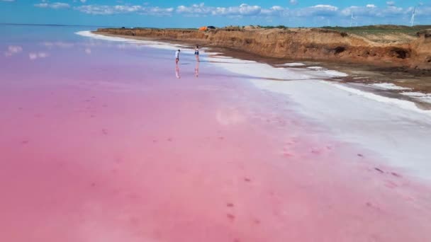 Vista del dron de colorido lago rosa con amplia costa de sal blanca — Vídeo de stock