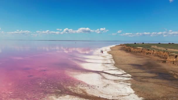 在粉色矿湖岸边散步的可爱夫妇的航拍镜头 — 图库视频影像