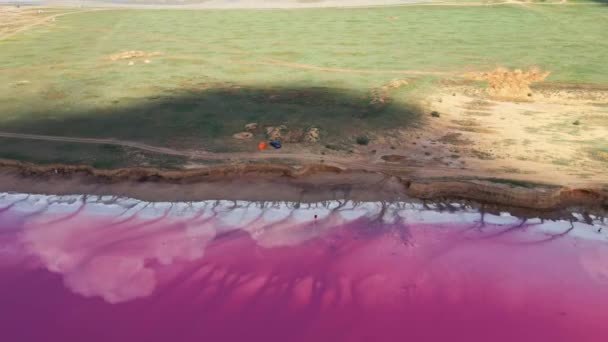 Pembe tuzlu göl kıyısından insansız hava aracına kadar uzanan güzel bir manzara. — Stok video