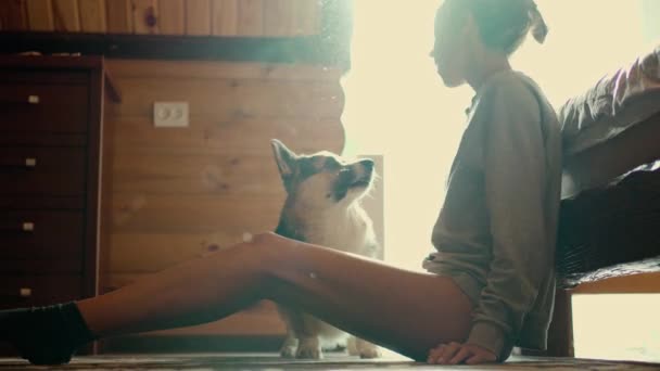 Vrouw in slaapkamer spelen met grappige Welsh Corgi hond — Stockvideo