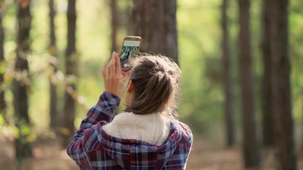 Mujer fotografiando por teléfono hermosa vista en el bosque de pinos de otoño — Vídeos de Stock