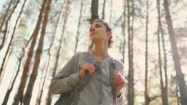 Mujer con mochila disfrutando de la vista en el bosque de pinos de otoño — Vídeos de Stock