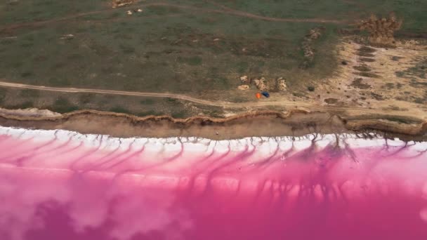 Helder mooi landschap met roze zoute meerkust van drone — Stockvideo