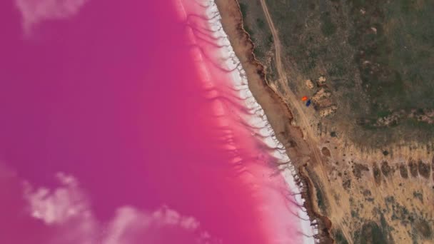 Beau paysage lumineux avec la côte du lac salé rose du drone — Video