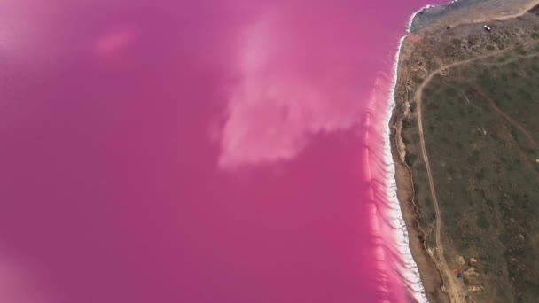 Helder mooi landschap met roze zoute meerkust van drone — Stockvideo