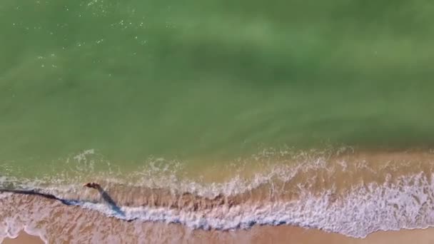 Antena top down materiał pusty brzeg morza z falami morskimi w godzinach porannych, samotna osoba relaksująca się na piaszczystej plaży przy parasolu słonecznym podczas wakacji. — Wideo stockowe