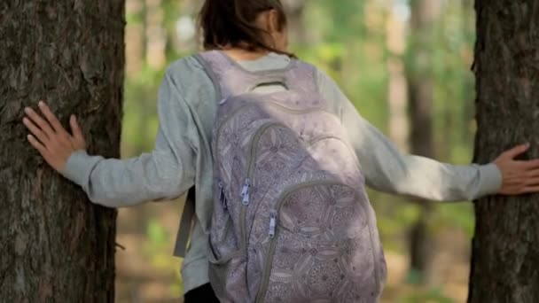 Fiatal nő hipster séta őszi erdőben a napsütéses napon — Stock videók
