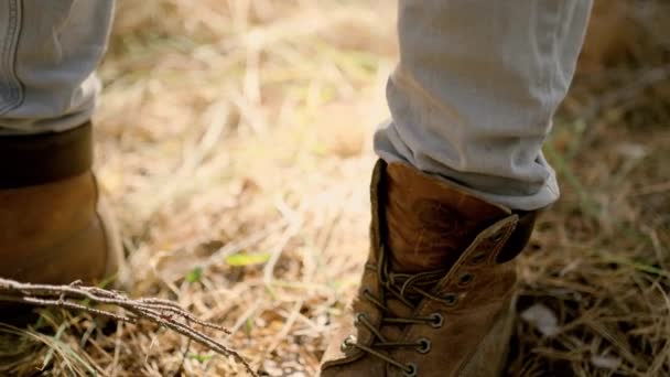 Close up old casual mens hiking boots and beetle ladybug — Stock Video