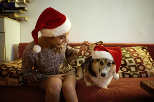 Proprietária e animal de estimação no Natal Papai Noel chapéus sentados no sofá em casa. Férias de inverno, Natal e Ano Novo conceito — Fotografia de Stock