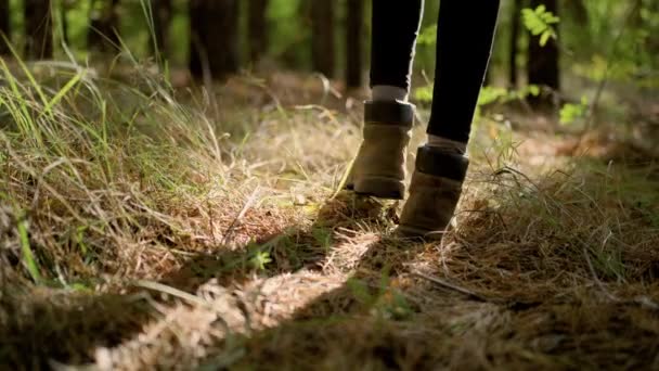 Close-up vrouwen voeten in wandelschoenen lopen op gras in het bos — Stockvideo