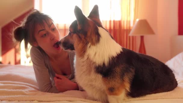 Κοντινό πλάνο πορτρέτο της ευχαριστημένης γυναίκας που βρίσκεται στο κρεβάτι στο σπίτι με το αγαπημένο της σκυλί Welsh Corgi. — Αρχείο Βίντεο