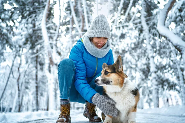 Woman stroking her fluffy cute pet Welsh Corgi puppy in winter landscape. — Stock Photo, Image