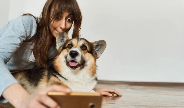 Radosna kobieta gryzie puszyste ucho swoim zwierzakiem Welsh Corgi dog i robi śmieszne selfie aparatem fotograficznym. — Zdjęcie stockowe