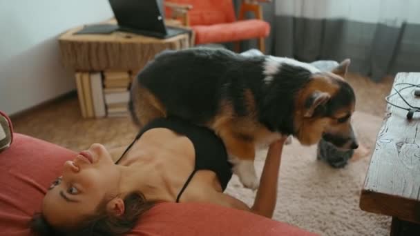Mujer en hacer ejercicios para ABS y nalgas con perro como peso — Vídeo de stock
