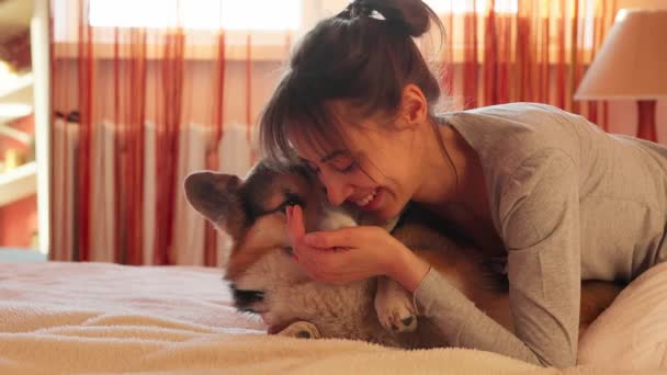 Bonito lindo cão lambendo as mãos meninas — Vídeo de Stock