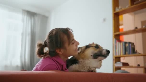 Jonge vrouw streelt haar mooie welsh corgi hond — Stockvideo