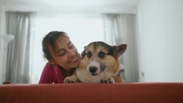 Милая брюнетка с забавной милой валлийской собакой Корги — стоковое видео