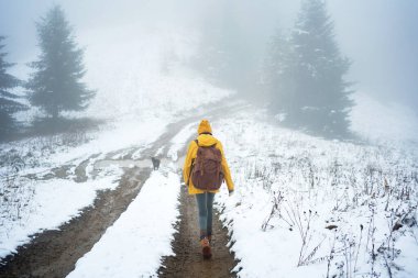Sırt çantalı kadın kışın sisli ormanda yürüyüş yapıyor.