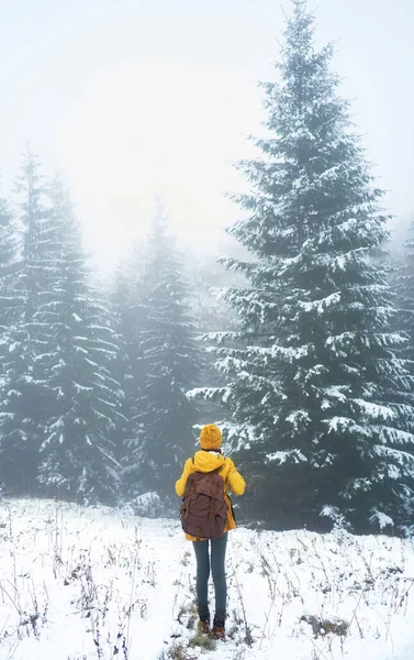 Bakoversikt over en kvinnelig bakpaker som vandrer i vinterens snørike skoglandskap – stockfoto