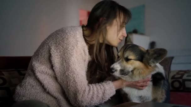 Aanhankelijke vrouw zit op de bank met hond, knuffels en streelt hem — Stockvideo