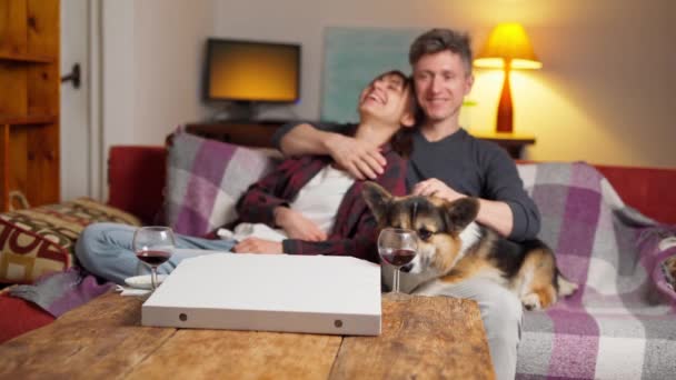 Family and funny cute welsh corgi dog sits on couch in cozy living room — Stock Video