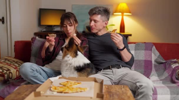 Para z psem siedzącym razem na kanapie i jedzącym pizzę — Wideo stockowe