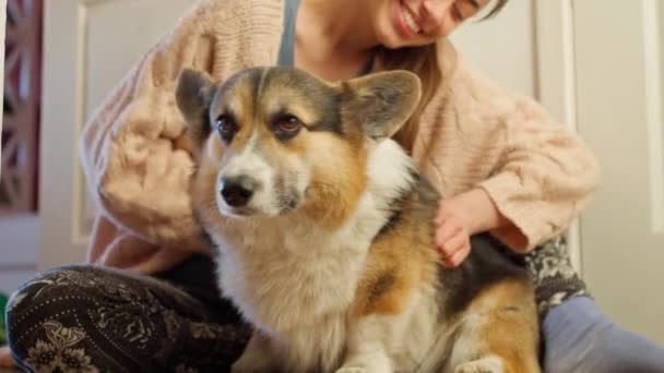 Ніжна жінка обіймає і пестить собаку — стокове відео