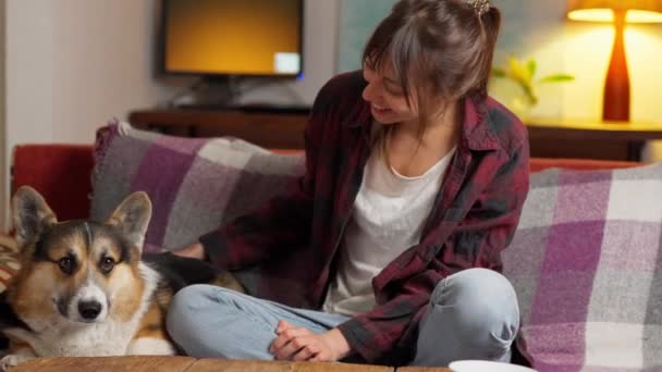 Tierna mujer se sienta en el sofá con el perro, abrazándolo y alimentándolo — Vídeo de stock