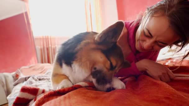 Linda jovem mulher brincando com o cão engraçado na cama — Vídeo de Stock