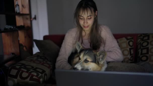 Gyengéd nő ül a kanapén kutyával és filmet néz — Stock videók