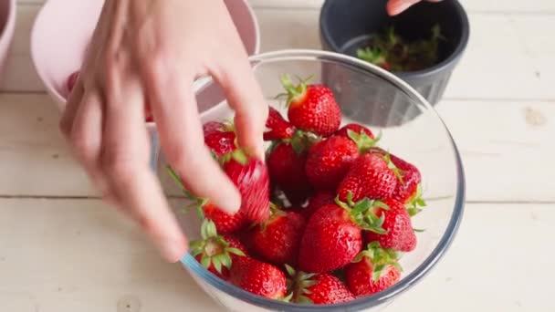 Fermer les mains féminines peler les fraises — Video