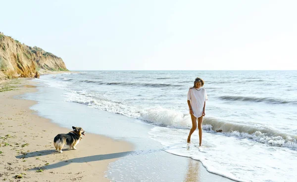 Позитивная девушка со своим домашним животным прогуливаясь вдоль берега летнего пляжа утром вместе — стоковое фото