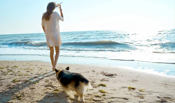 Terug uitzicht vrouw staande door de zee aan de kustlijn, schattige hond naast de eigenaar genieten van zeezicht samen Stockfoto