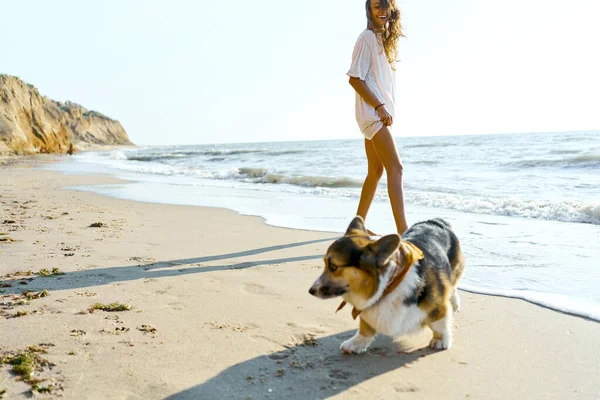 ผู้หญิงมีความสุขกับสุนัข Corgi สัตว์เลี้ยงของเธอ มีความสนุกสนานด้วยกันที่ชายหาดของชายหาดฤดูร้อน รูปภาพสต็อก