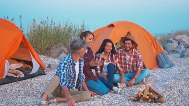 Dois casais encantadores viajando com tendas e grelhando legumes na fogueira para o jantar — Vídeo de Stock