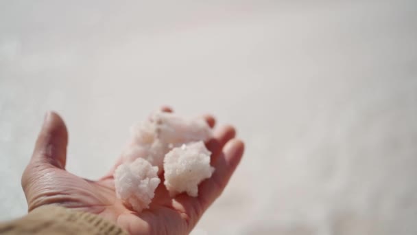 Mann hält Hand mit kristallisiertem Salz natürliche Mineralbildung — Stockvideo