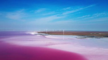 Pembe su ve kıyı şeridiyle Salt Mineral Gölü 'ne insansız hava aracı görüntüsü. Kherson bölgesi, Ukrayna