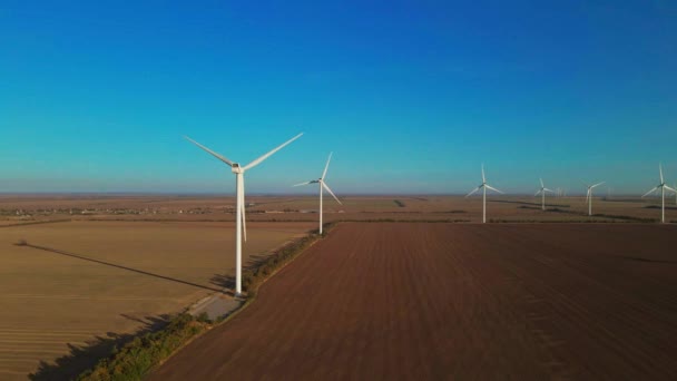 Remote windfarm in large field at sunrise — Stock Video