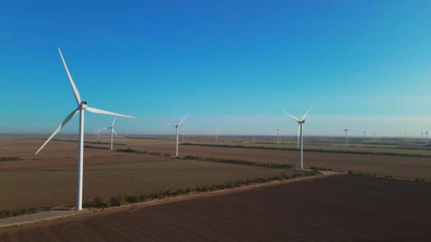 Stor vindkraftpark med utsikt över luften. vindkraftverk på åkrar på hösten solig morgon — Stockvideo