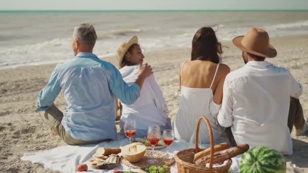 Hátsó kilátás négy boldog barátok ül a piknik takaró, feláll, és fut végig Sandy Beach — Stock videók