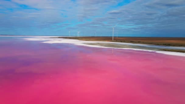 Glad oppervlak van kleurrijke roze meer bij bewolkte zonsopgang met windpark op de achtergrond. — Stockvideo