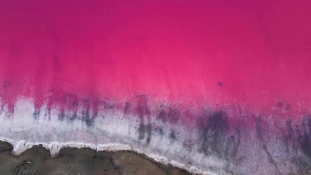 Colorful Pink salt lake aerial drone view — Stock Video
