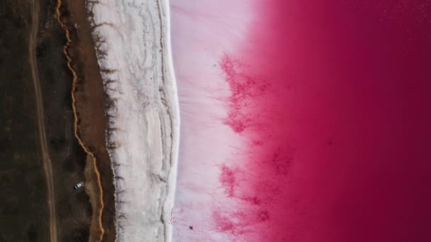 Garam merah muda danau Sivash, lanskap udara, Ukraina — Stok Video