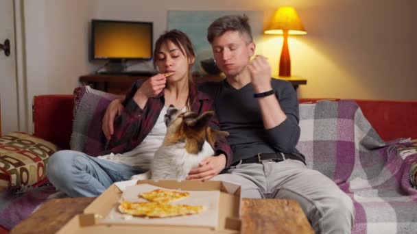 Coppia con cane seduti insieme sul divano e mangiare pizza — Video Stock