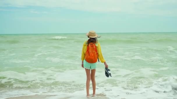 Dreamy freedom woman with open arms standing in front beautiful seascape view — Stock Video