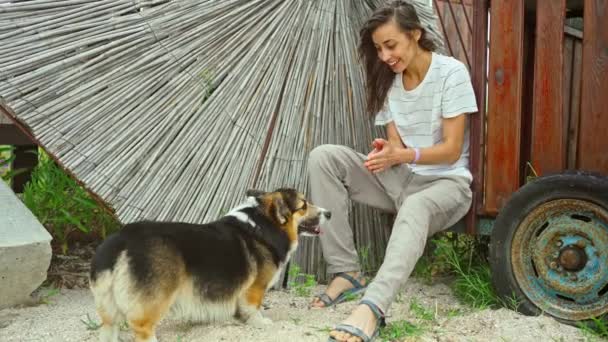 快乐的微笑的女孩在户外玩耍，和她的宠物可爱的科吉狗在一起 — 图库视频影像