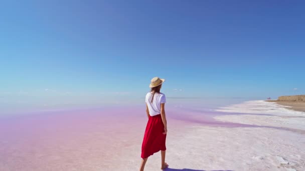 Вид ззаду Весела жінка в червоній спідниці, що йде на солоному білому пляжі і насолоджується літніми подорожами до рожевого озера — стокове відео