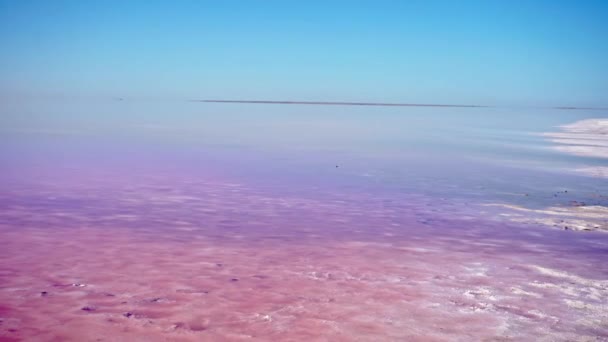 Όμορφο πολύχρωμο τοπίο με ροζ λίμνη νερού και μπλε ουρανό. — Αρχείο Βίντεο