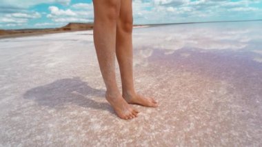 Dişi, uzun bacakları ve derisi tuzlu pembe gölde duruyor. Bulutlu gökyüzünün sularında yansıyor.